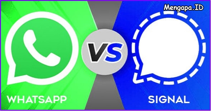 Signal Vs WhatsApp, Mana yang Lebih Baik?