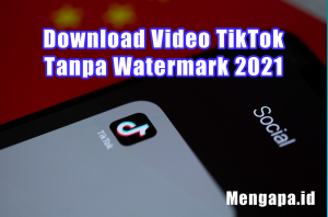Download Video TikTok Tanpa Watermark 2021