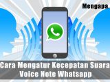 Cara Mengatur Kecepatan Suara Voice Note Whatsapp