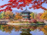 Wisata Di Korea Selatan Saat Musim Gugur
